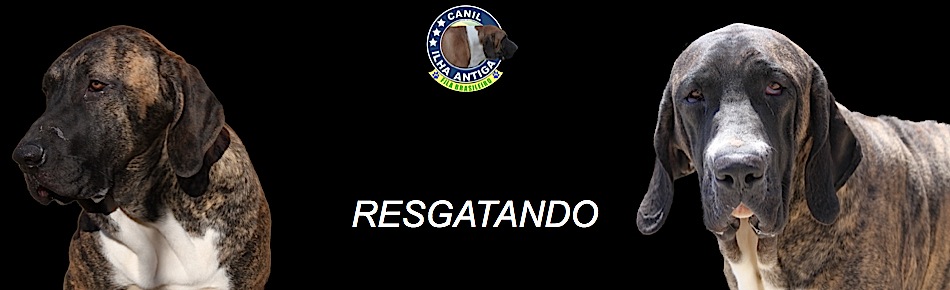 slide4