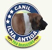 Site logo